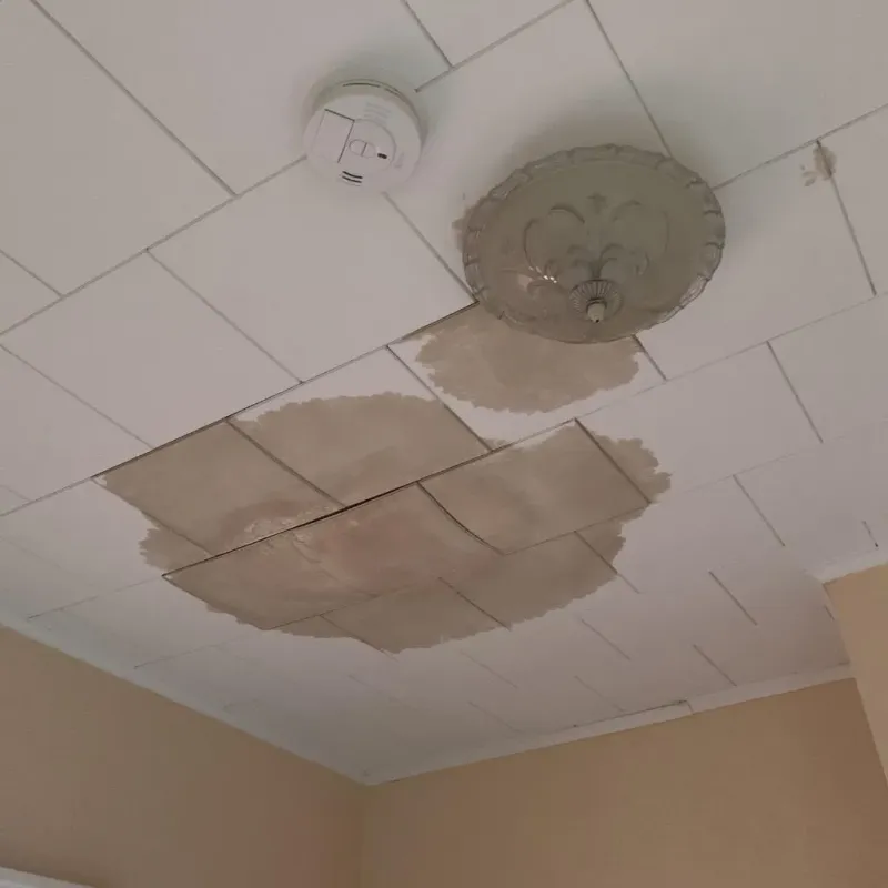 Ceiling Water Damage Repair in Johnson City, TN