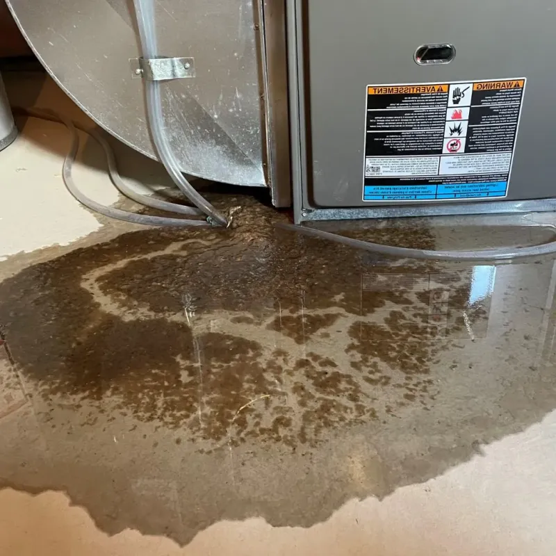 Pipe Burst and Leak Restoration in Johnson City, TN