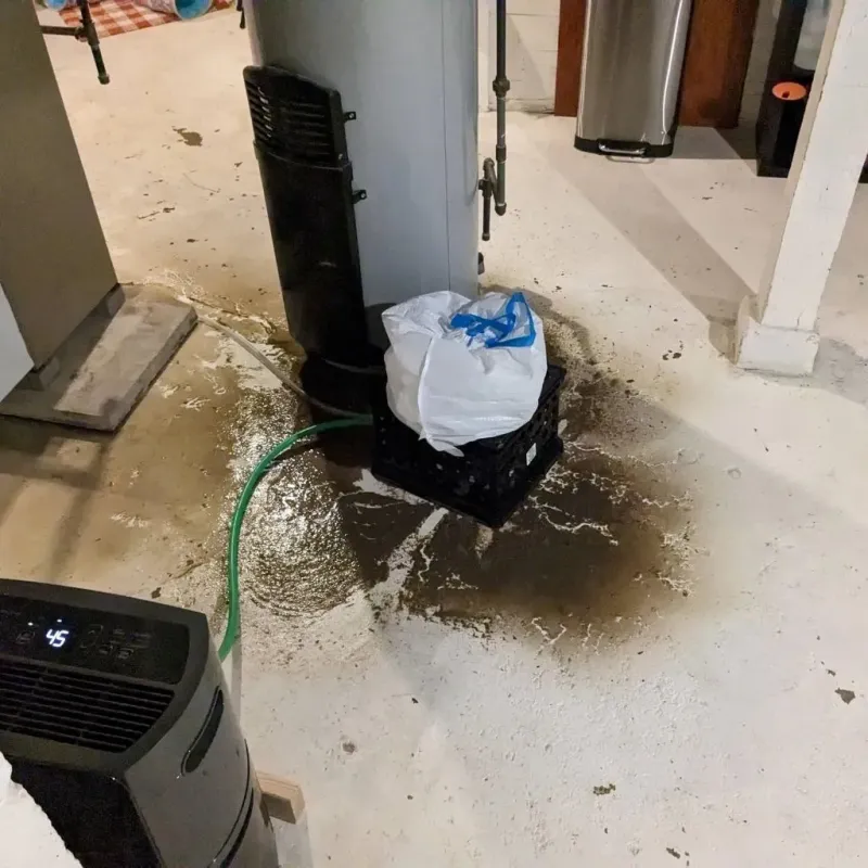 Sewage Backup Cleanup Service in Johnson City, TN